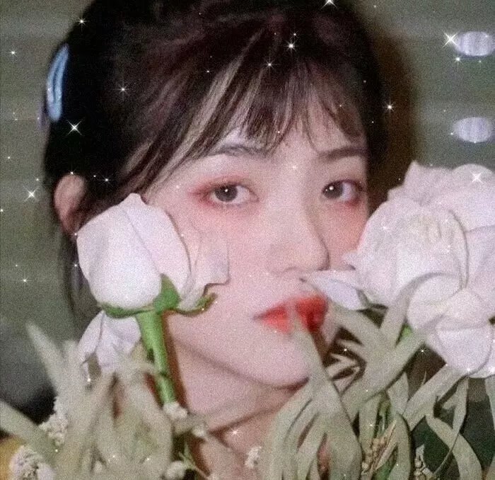 向阳花开